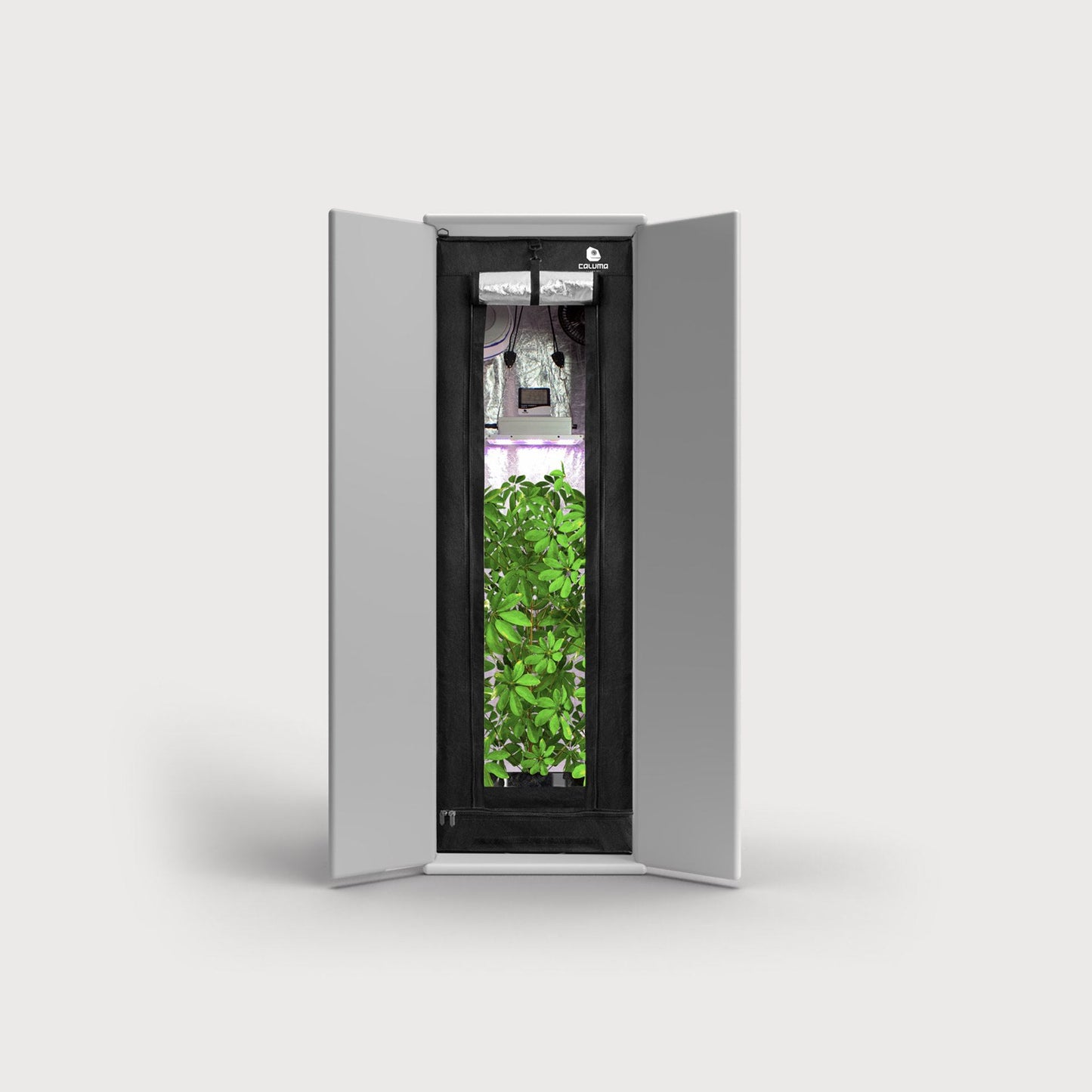 Komplett eingerichtete Caluma Readymade 100 Growbox mit LED-Beleuchtung und Pflanzen im geöffneten Schrank
