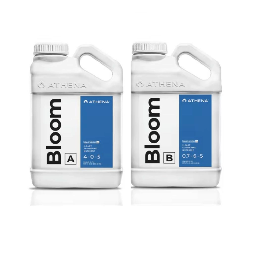 Athena Bloom A+B 3,79L – Mineralischer 2-Komponenten-Blütedünger für Erde, Coco und Hydro-Systeme, sedimentfrei, ideal für automatische Bewässerung