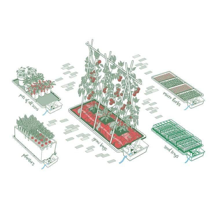 AutoPot Tray2Grow Anwendungen – Bewässerungssystem für Grow Bags, Saatschalen, Mikrokräuter, Pflanzgefäße und kleine Töpfe