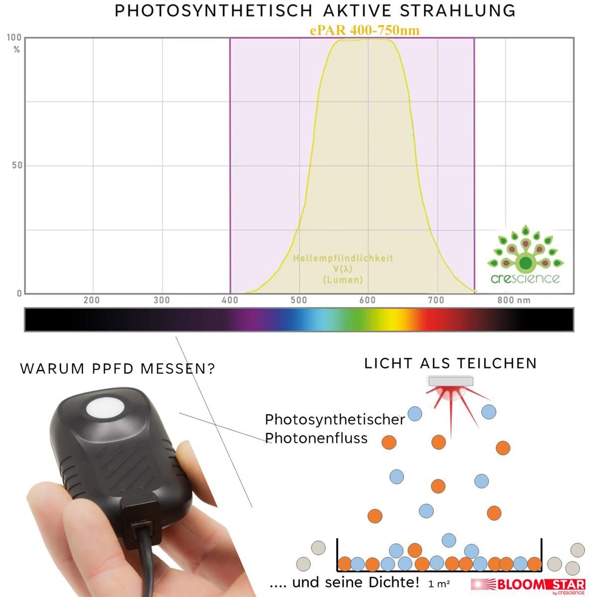 Darstellung des ePAR-Spektrums 400–750 nm und Erklärung der PPFD-Messung mit Bloomstar ePAR Sensor zur Optimierung von Pflanzenlicht