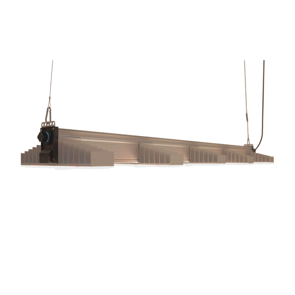 SANlight EVO 5-150 340W (Version 1.5) – eingeschaltet im Betrieb, gleichmäßige Ausleuchtung
