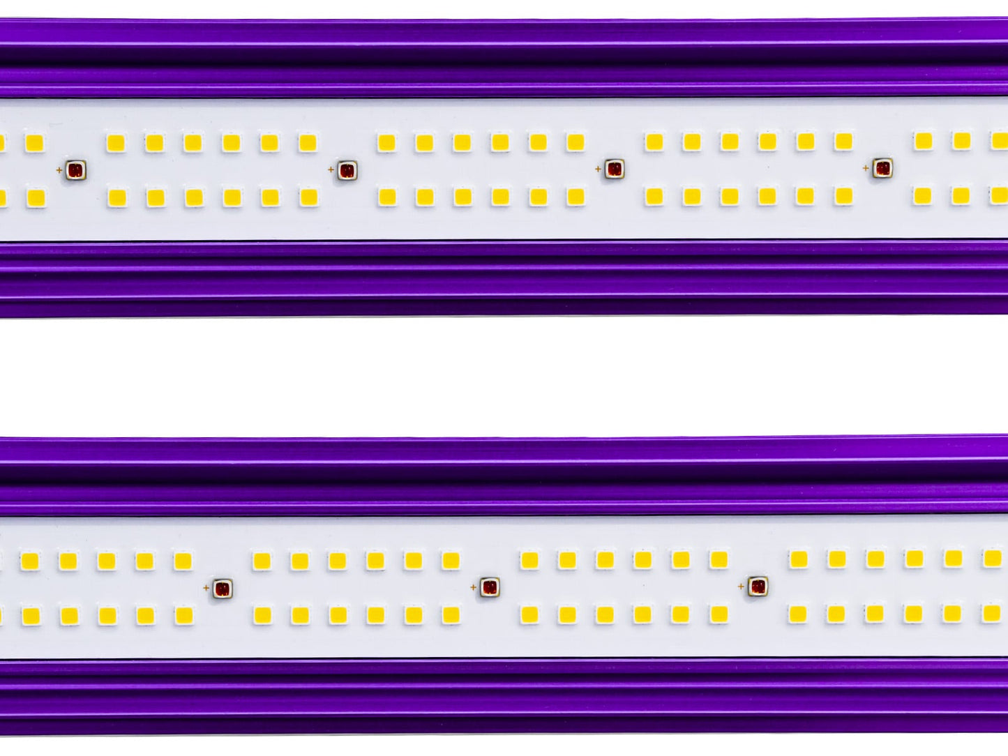 Detailaufnahme der leistungsstarken LED-Chips auf den Balken der Lumatek Zeus Pro 600W 2.9, optimiert für volles Pflanzenspektrum und Wachstum.