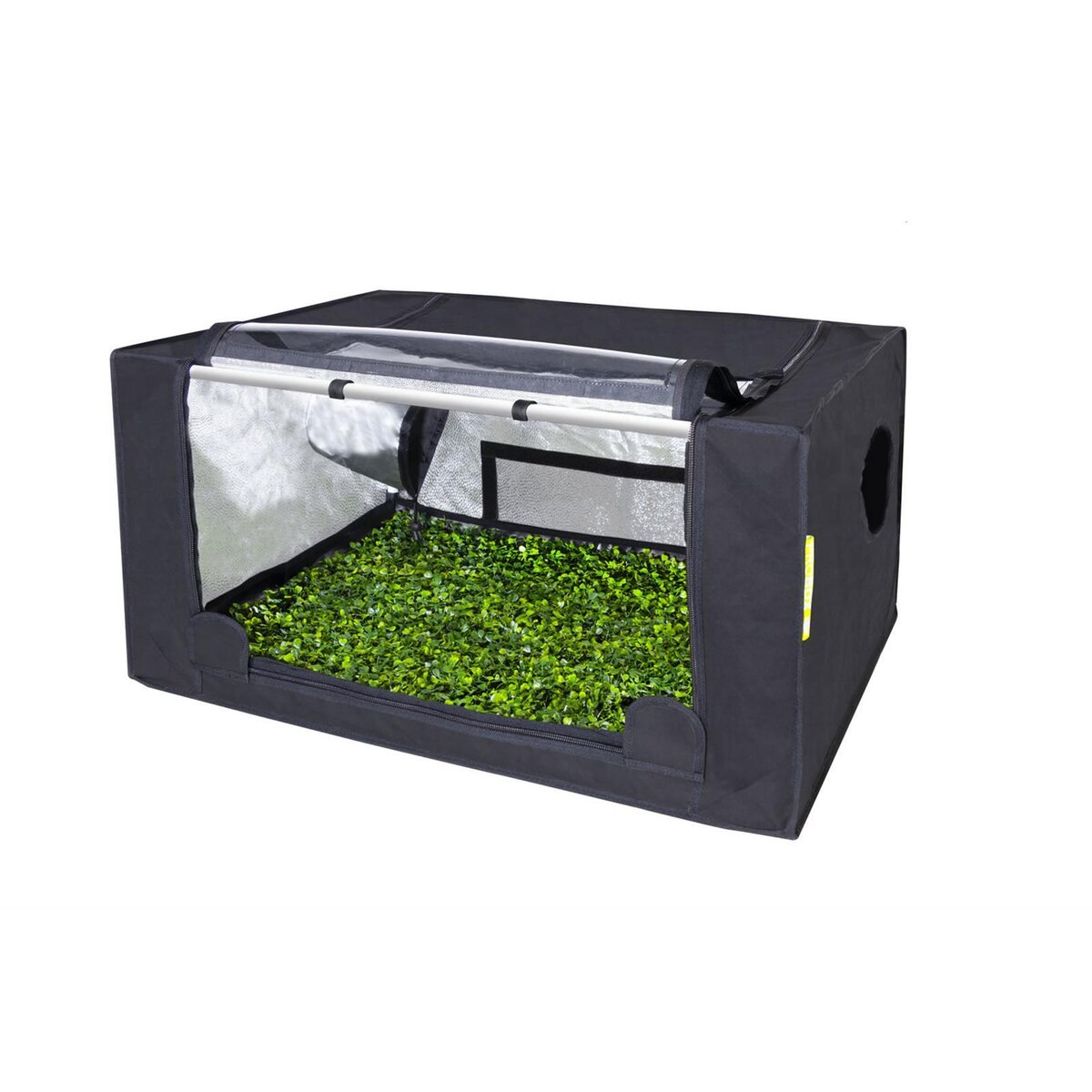 Frontalansicht der geöffneten GHP Probox Propagator M Growbox, zeigt den geräumigen Innenbereich, geeignet für die Aufzucht von bis zu 288 Stecklingen oder Sämlingen auf zwei Trays.