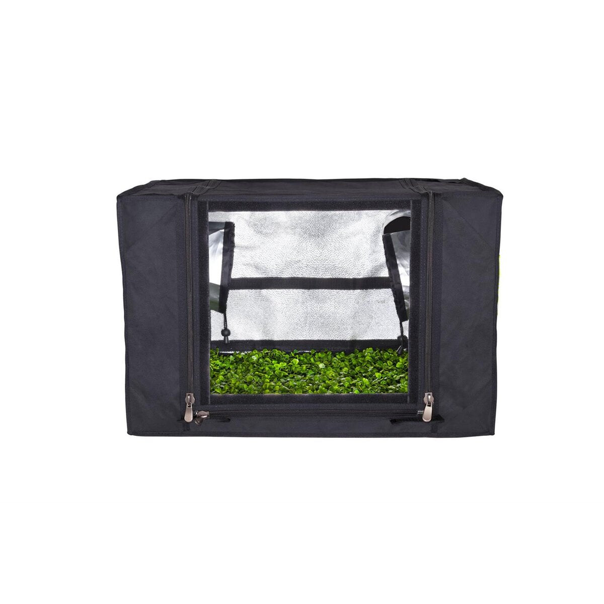 Frontalansicht der geöffneten GHP Probox Propagator S Growbox, zeigt den geräumigen Innenbereich, geeignet für die Aufzucht von Stecklingen und Sämlingen auf einem Tray.