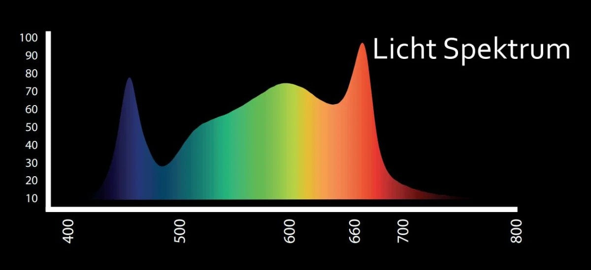 Lichtspektrum-Darstellung für HortiONE 600 V3 LED, hervorhebend die Vollspektrum-Leistung und Spitzen im roten Bereich für optimiertes Pflanzenwachstum.