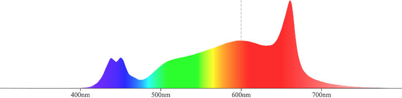 Spektrumdiagramm für Crescience Wingman 600L, zeigt die Lichtwellenlängenverteilung.