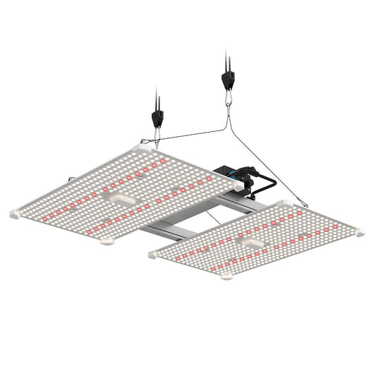 Moderne LUMii BLACK Blade 400W LED-Pflanzenlicht mit einstellbarem Zweiplatten-Design und energieeffizienten LEDs für vollständige Wachstumszyklen.