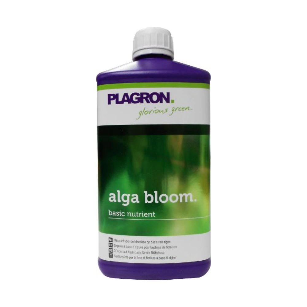 Plagron Alga Bloom 1 Liter Flasche, biologischer Blütedünger aus Algenextrakten und Rübenvinasse, geeignet für Freiland- und Zimmerpflanzen.