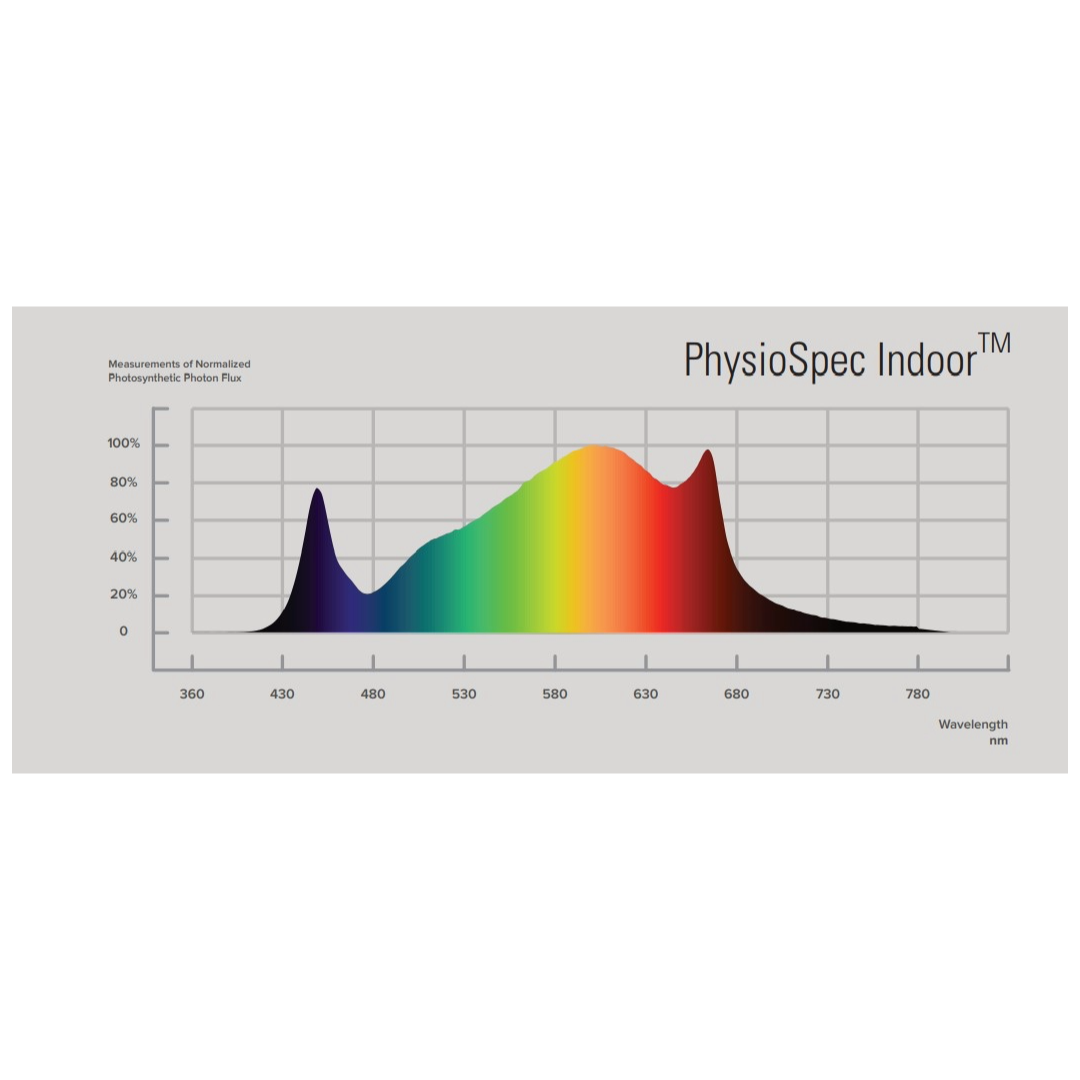 Spektraldiagramm der Spektra Master 720W LED mit Full Spectrum Licht für ideales Pflanzenwachstum