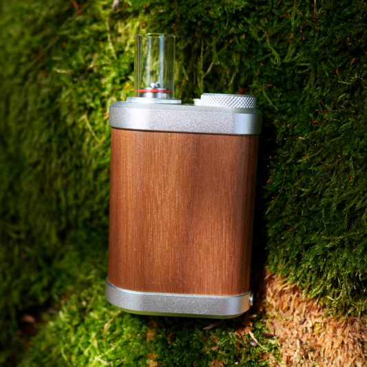 Tinymight V2 Vaporizer auf moosbedecktem Baum als Hintergrund. Zeigt den Kontrast des Hintergrund mit der edlen Farbe des Gehäuses.
