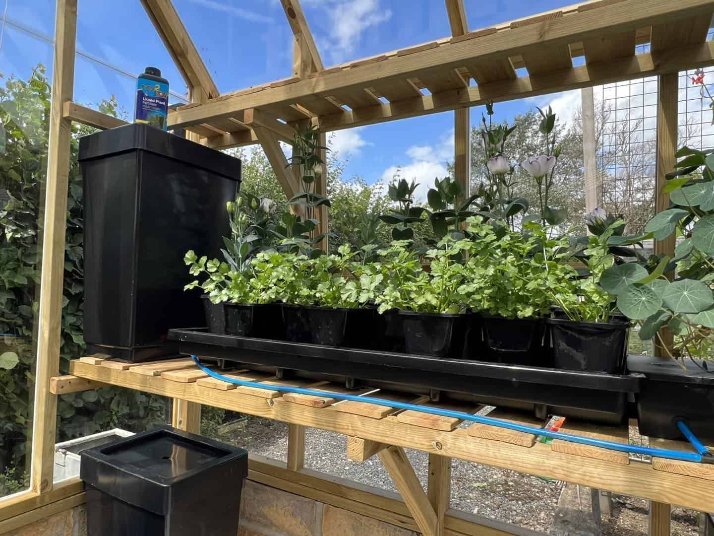 AutoPot Tray2Grow mit Wassertank – effizientes Bewässerungssystem für Indoor und Outdoor Pflanzenzucht, stromlos und wartungsarm