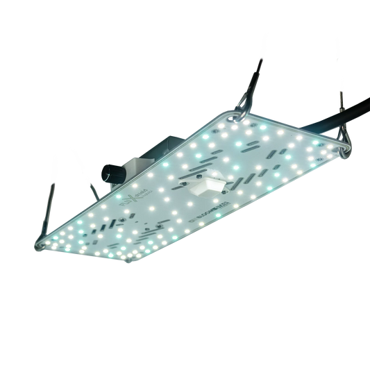 Unterseite der BloomStar FLUXshield Habibi 140 LED Board – gleichmäßige Ausleuchtung, 50W für 60×60 cm