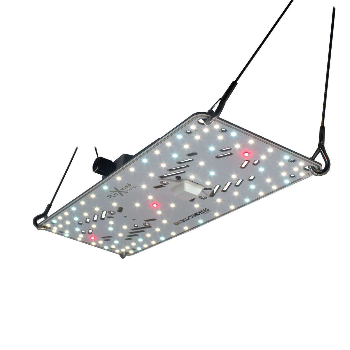 BloomStar FLUXshield Habibi 150 (50W) im Betrieb – Vollspektrum LED-Board Unterseite mit gleichmäßiger Ausleuchtung