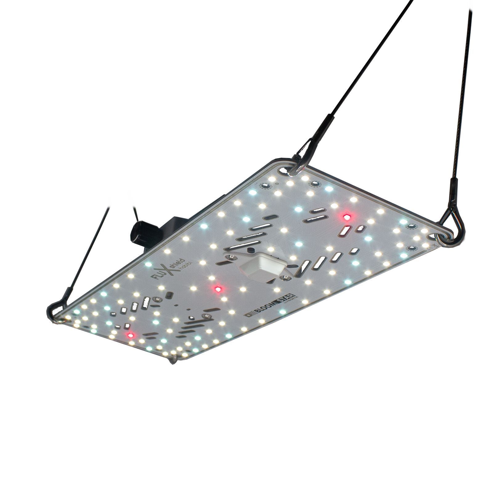 BloomStar FLUXshield Habibi 150 (50W) im Betrieb – Vollspektrum LED-Board Unterseite mit gleichmäßiger Ausleuchtung