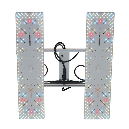 Crescience Wingman 600L Vollspektrum LED Growlampe im Betrieb – gleichmäßige Ausleuchtung der Module