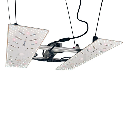 Crescience Wingman 600L LED Growlight aufgehängt – Vollspektrum Lichtverteilung im schrägen Winkel