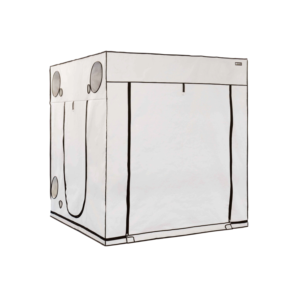 Homebox Ambient Q200+