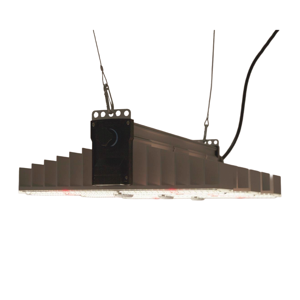 Unterseite der SANlight EVO 3-60 1.5 – LED-Module und Lichtaustritt, Vollspektrum für Wuchs und Blüte