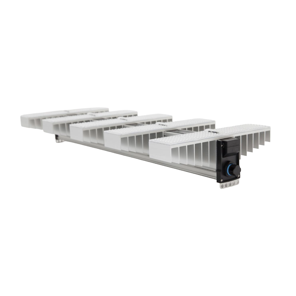 SANlight EVO 5-100 1.5 (340W) Pflanzenlampe – Perspektivansicht der LED-Module und des Endmoduls.